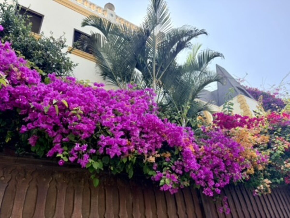 Lima, Peru